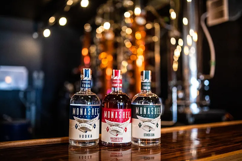 Bound to Break Free: Why Gin's Strictest Rules Produced Its Wildest Innovations
